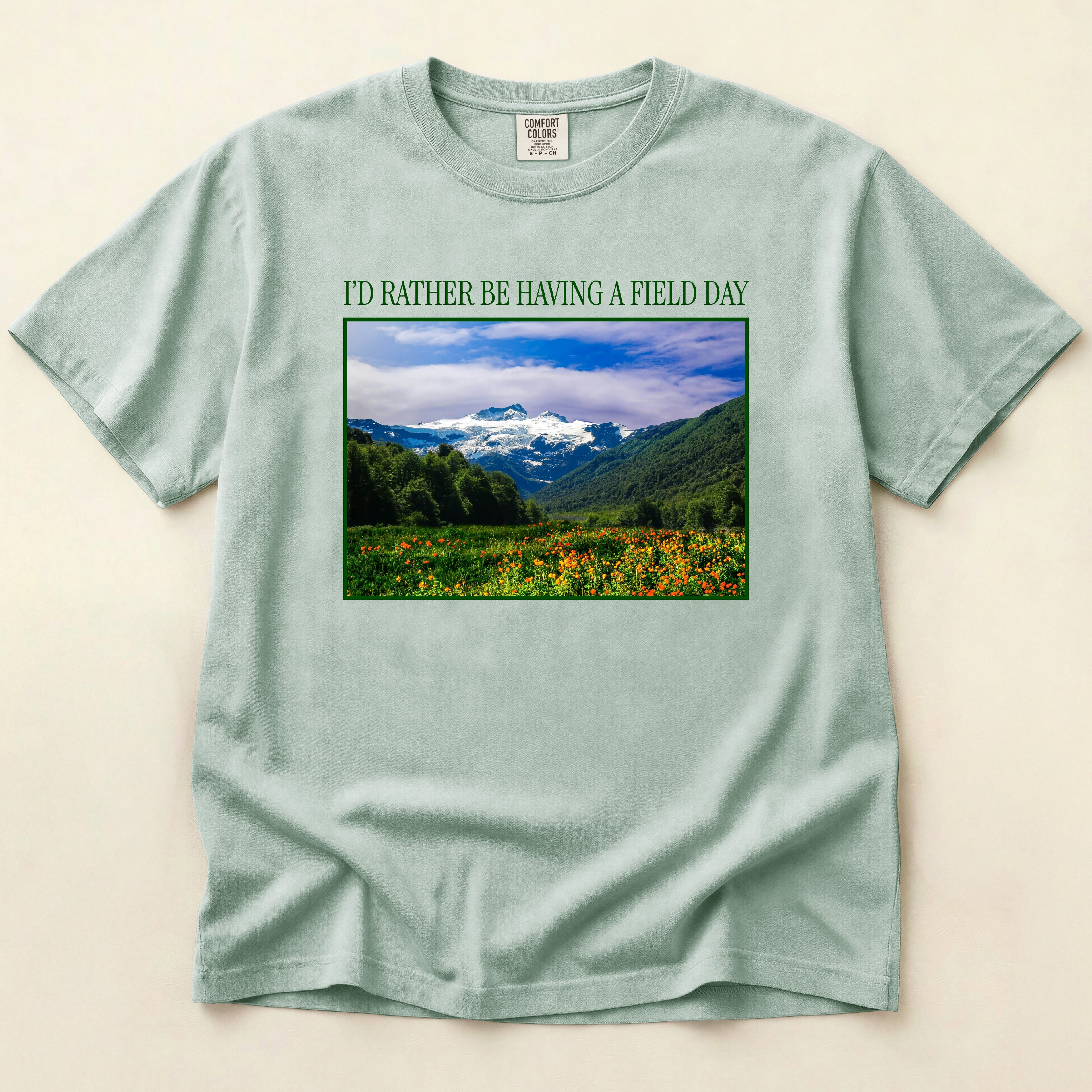 Having a Field Day T-Shirt