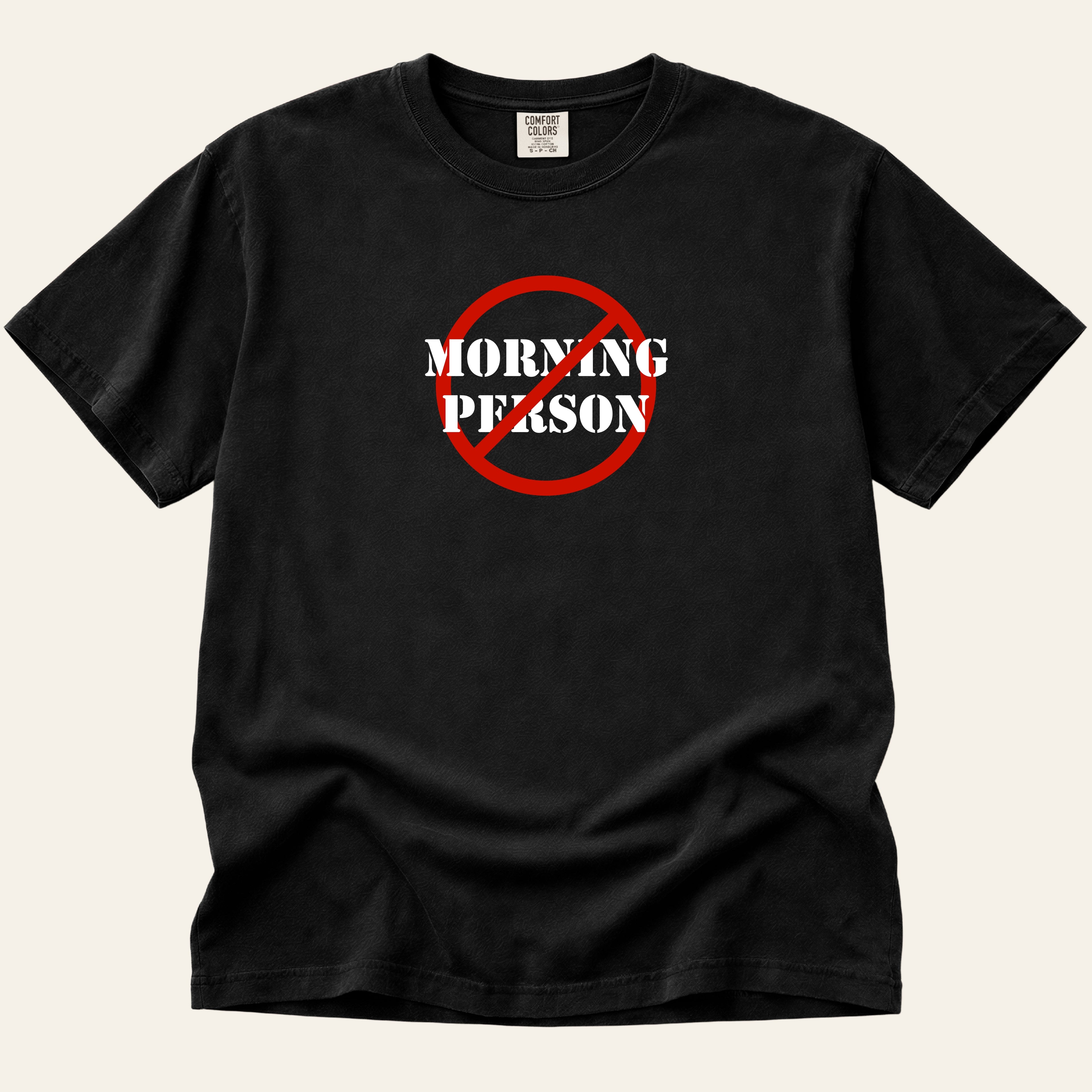 Not a Morning Person T-Shirt